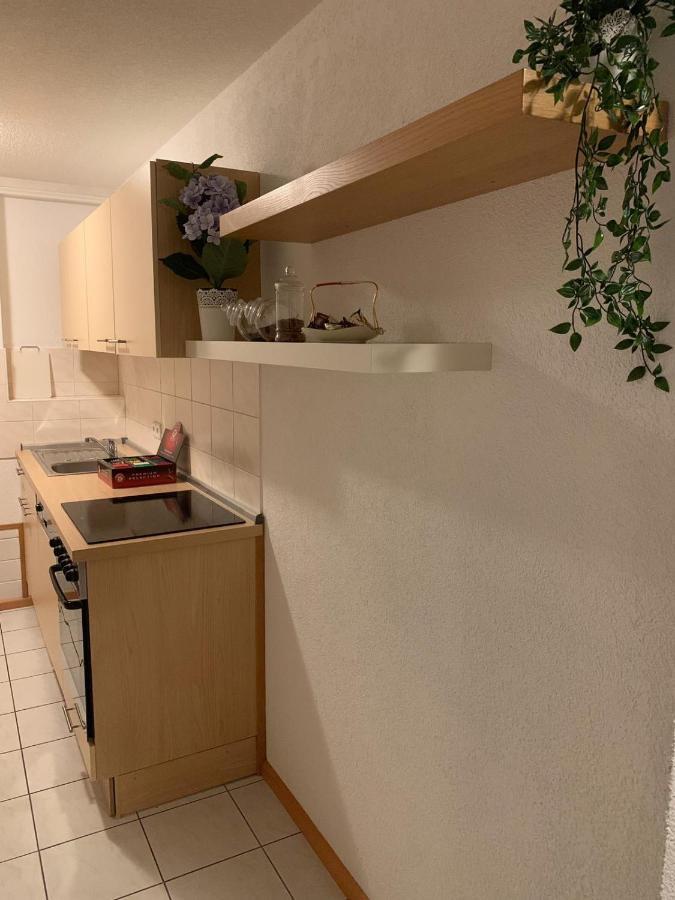 Holiday Home Nahe Europapark Lahr/Schwarzwald Extérieur photo